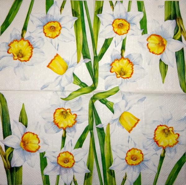 108 Narzissen - 3 lagig - Home Fashion